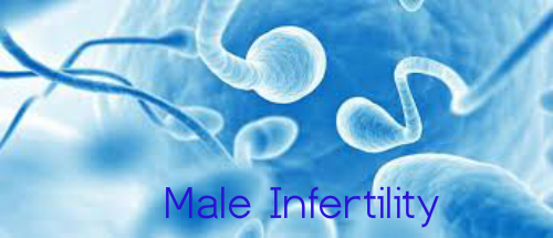 Cure male infertility